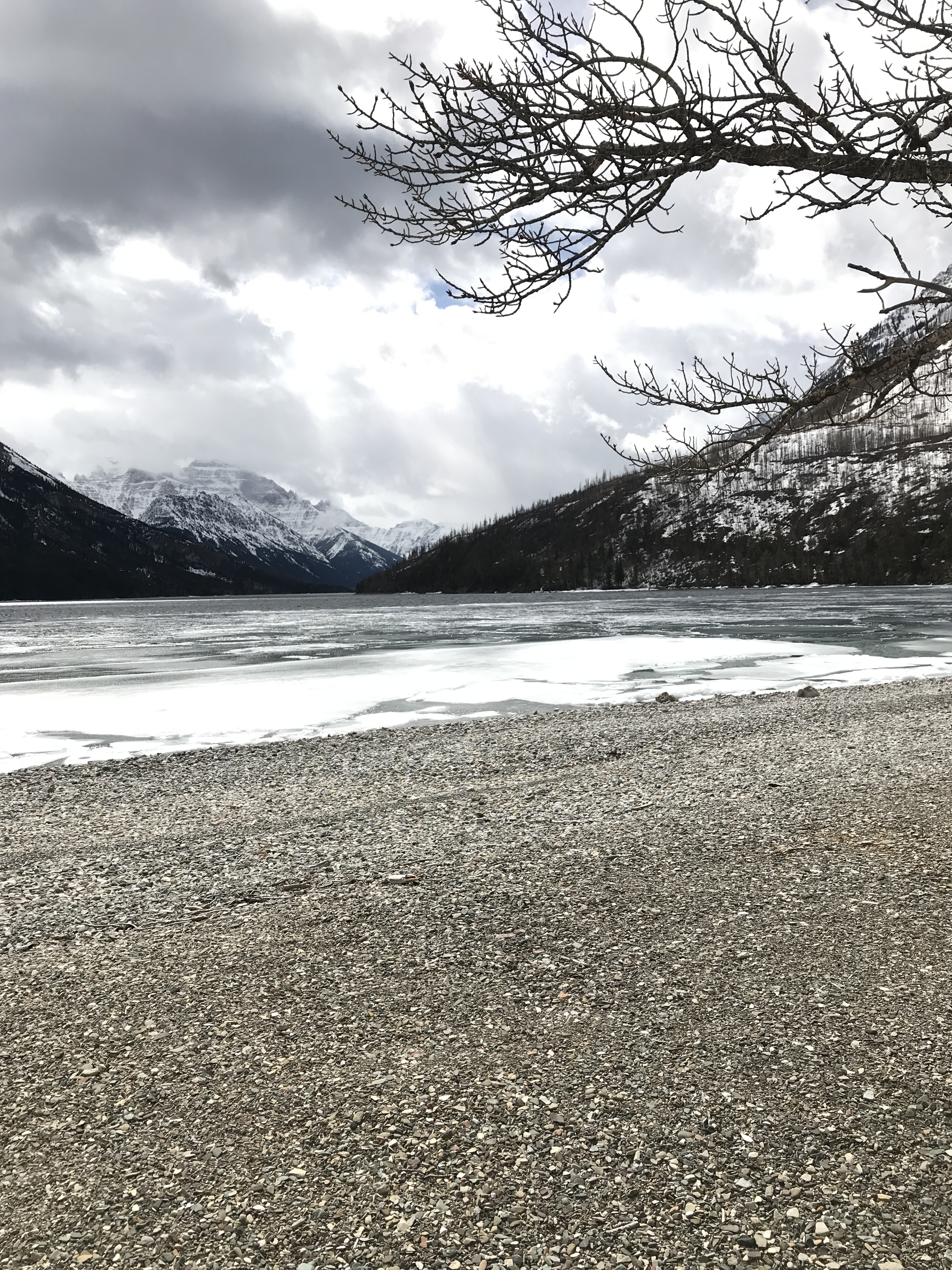 F9371235-09BD-4DA9-9C40-9E22112B5E8F